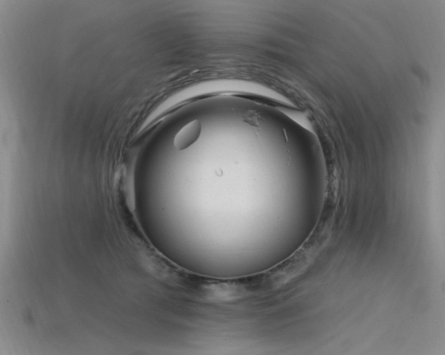 X0000115810417200911131424