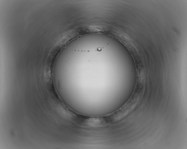 X0000115810418200911131424