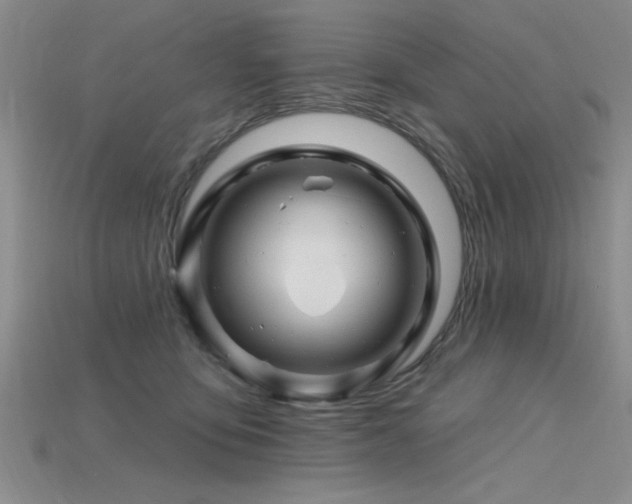X0000115810419200911131424