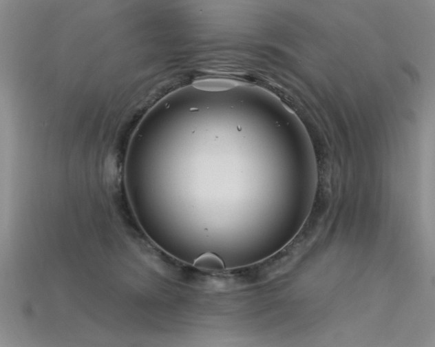 X0000115810420200911131424