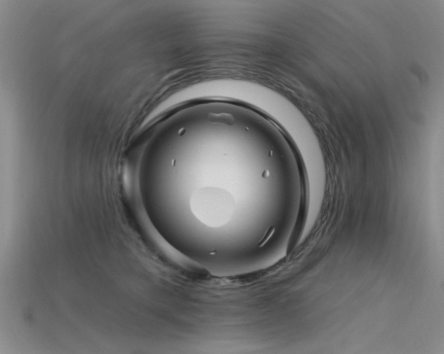 X0000115810421200911131424