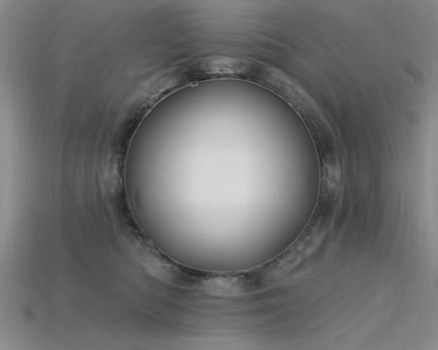 X0000115810422200911131424