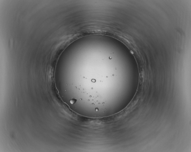 X0000115810423200911131424