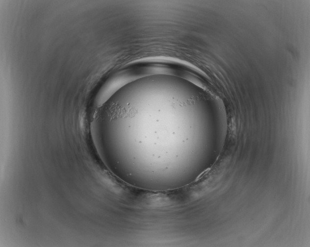 X0000115810424200911131424