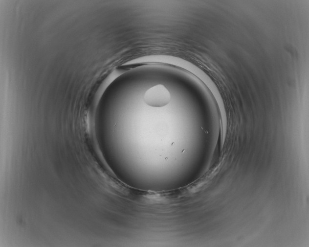 X0000115810425200911131424