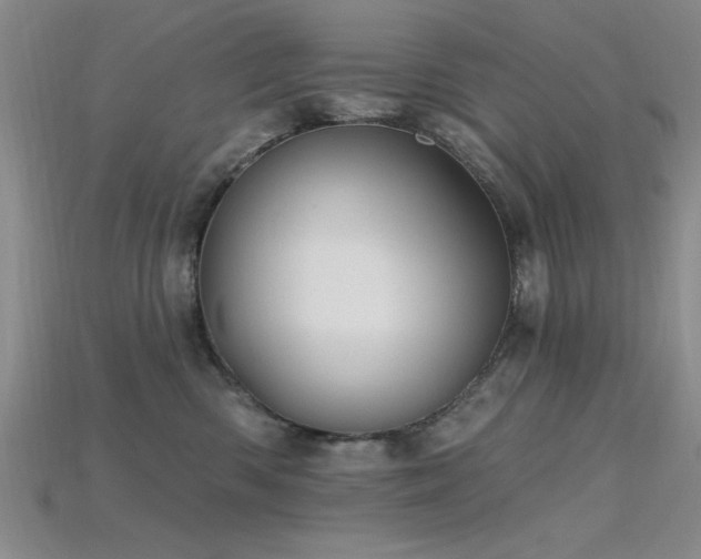 X0000115810426200911131424