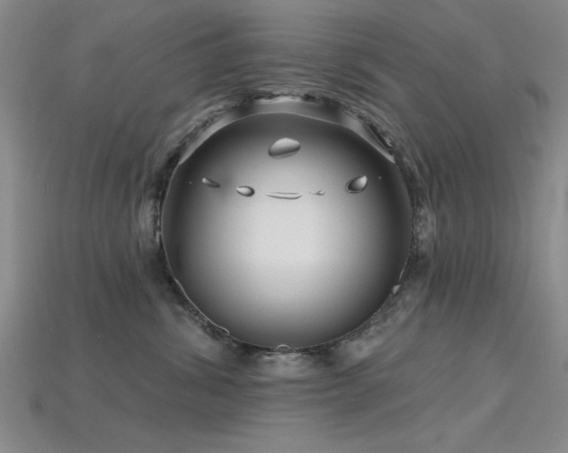X0000115810428200911131424