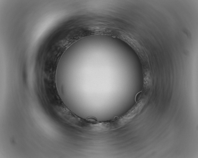 X0000115810430200911131424
