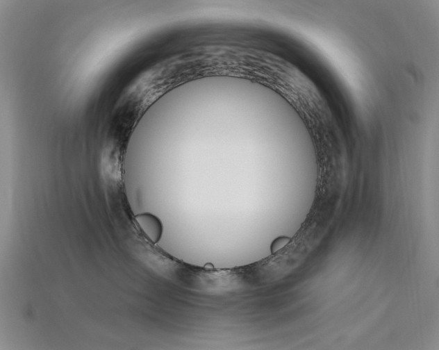 X0000115810431200911131424