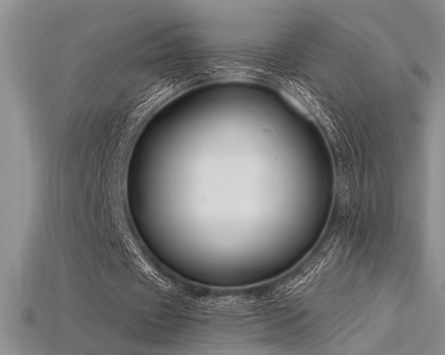 X0000115810433200911131423