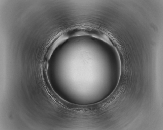 X0000115810434200911131423