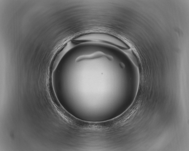 X0000115810437200911131423