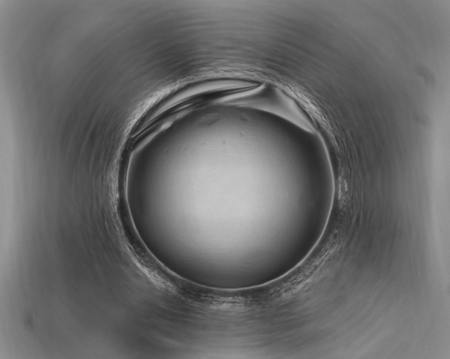 X0000115810438200911131423