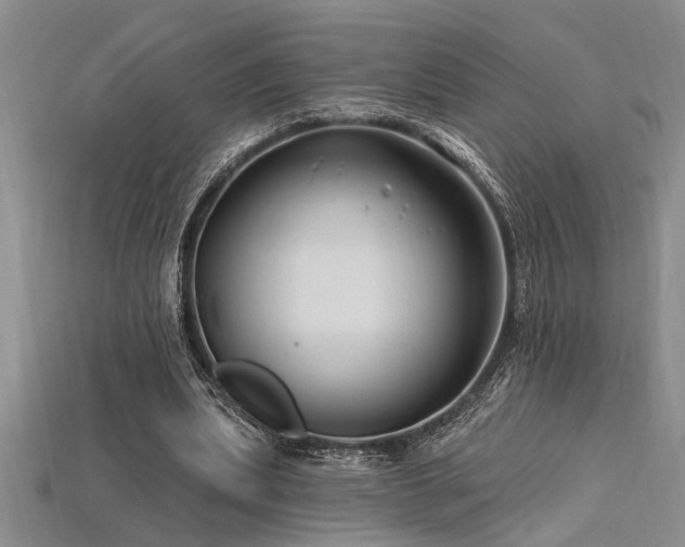 X0000115810439200911131423