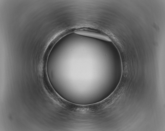 X0000115810440200911131423