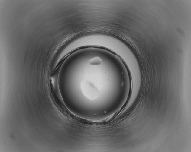 X0000115810444200911131424