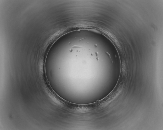 X0000115810445200911131424