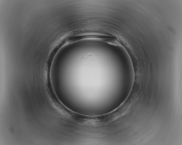 X0000115810446200911131424