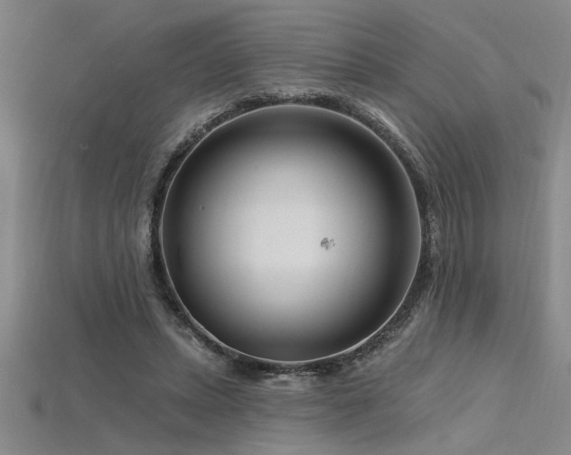 X0000115810447200911131424