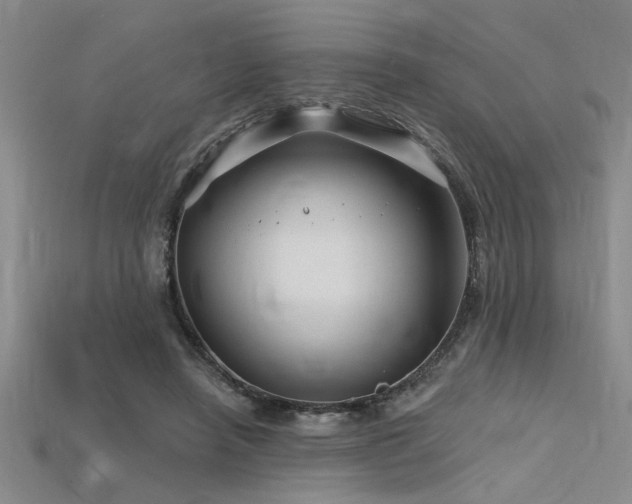 X0000115810450200911131424