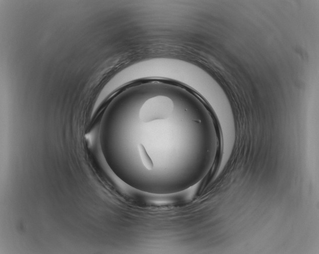 X0000115810452200911131424