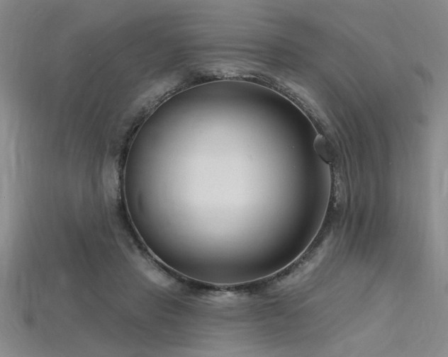 X0000115810453200911131424
