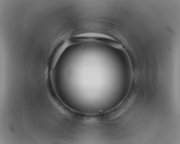 X0000115810454200911131424