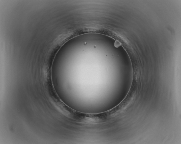 X0000115810455200911131424