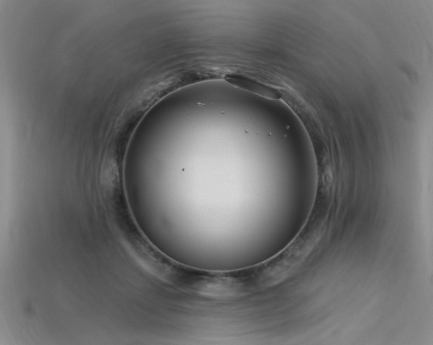 X0000115810459200911131424
