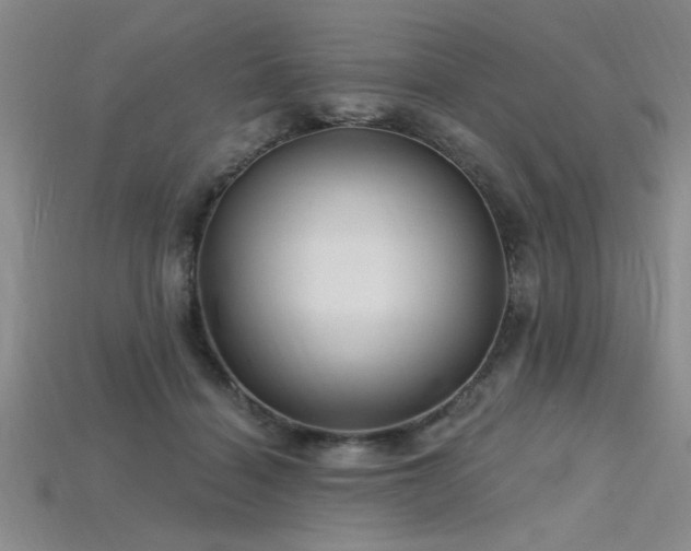 X0000115810460200911131424