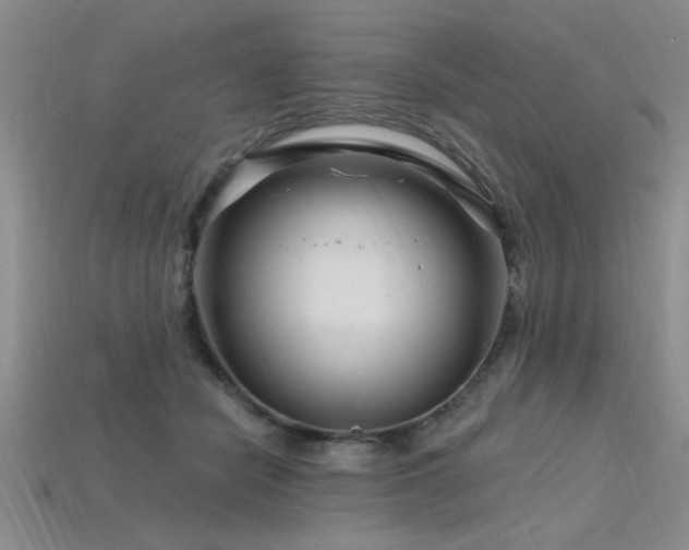 X0000115810462200911131424