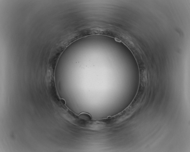 X0000115810463200911131424
