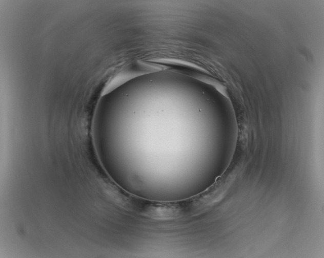 X0000115810466200911131424