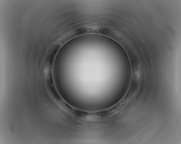 X0000115810468200911131424