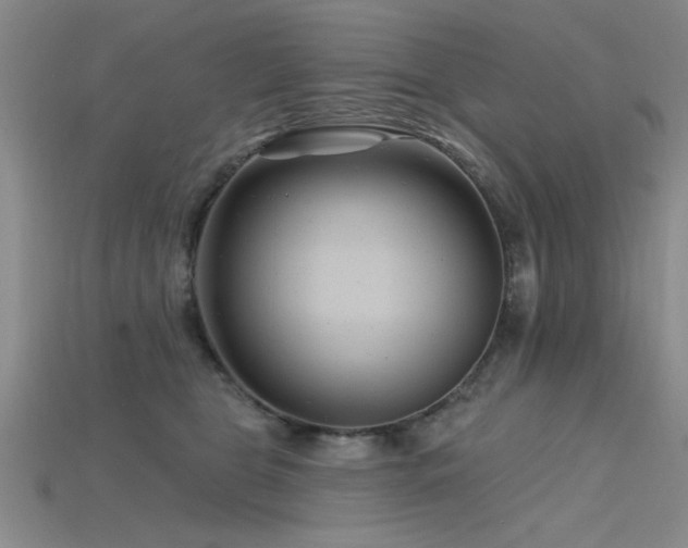 X0000115810469200911131424