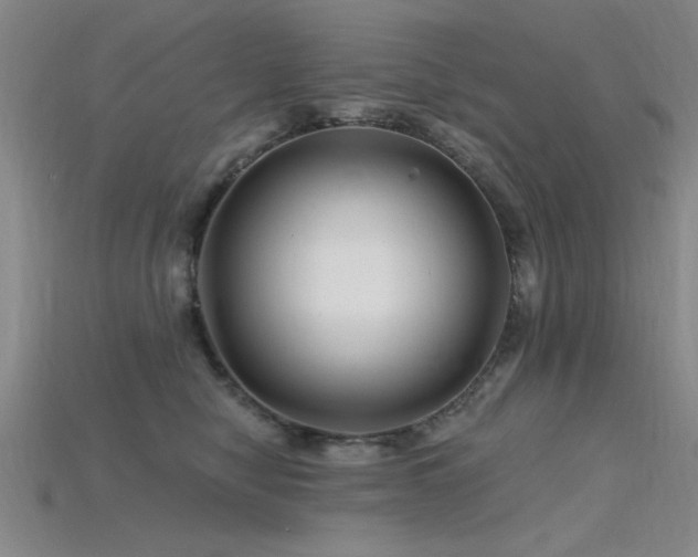 X0000115810470200911131424