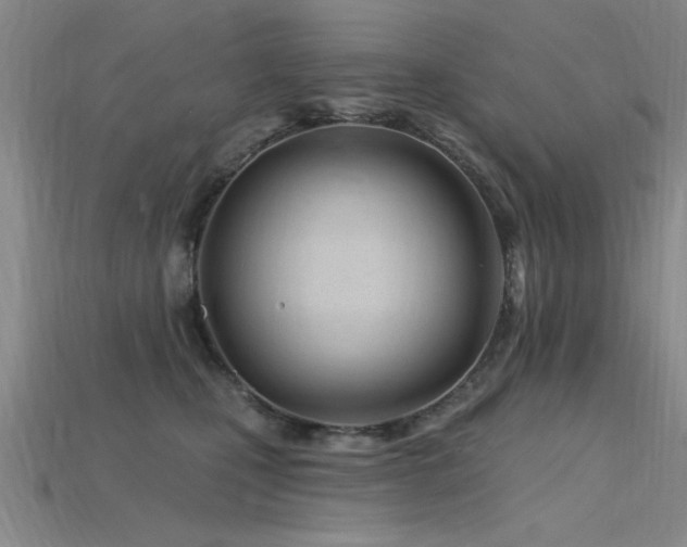 X0000115810471200911131424