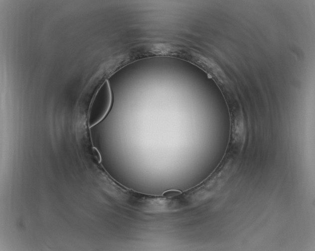 X0000115810473200911131424