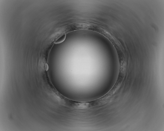 X0000115810474200911131424