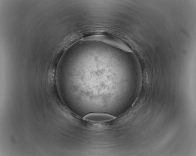 X0000115810475200911131424