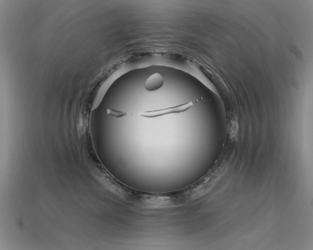 X0000115810476200911131424