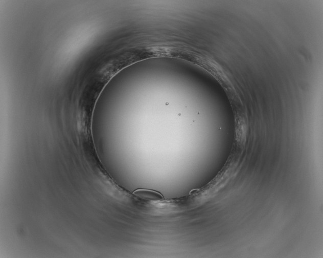 X0000115810477200911131424