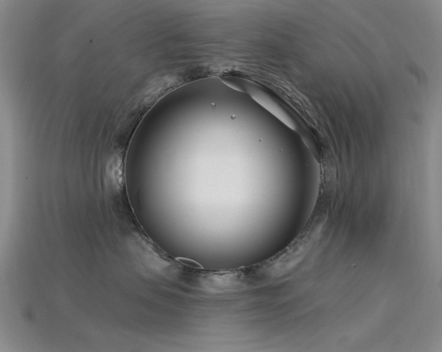 X0000115810479200911131424