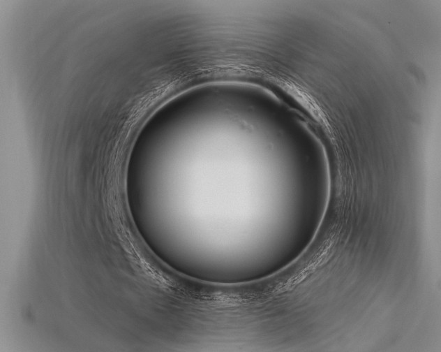 X0000115810481200911131423