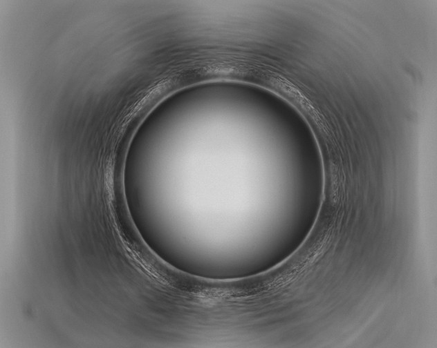 X0000115810482200911131423
