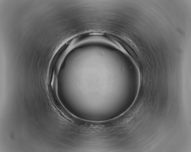 X0000115810484200911131423