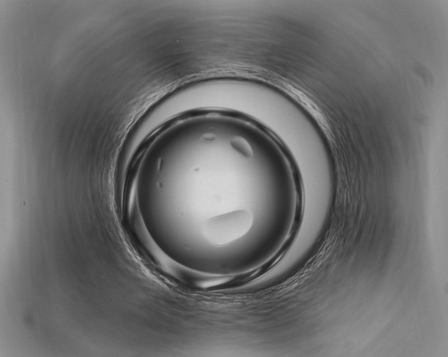 X0000115810485200911131423