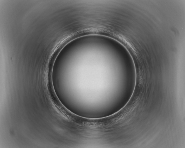 X0000115810486200911131423