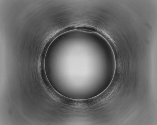 X0000115810487200911131423