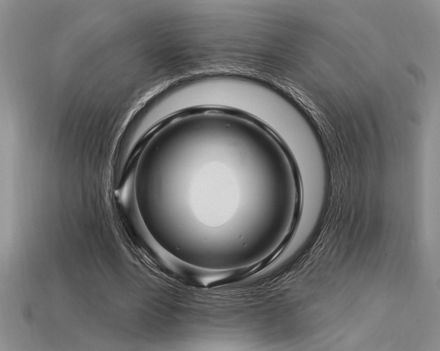 X0000115810488200911131423